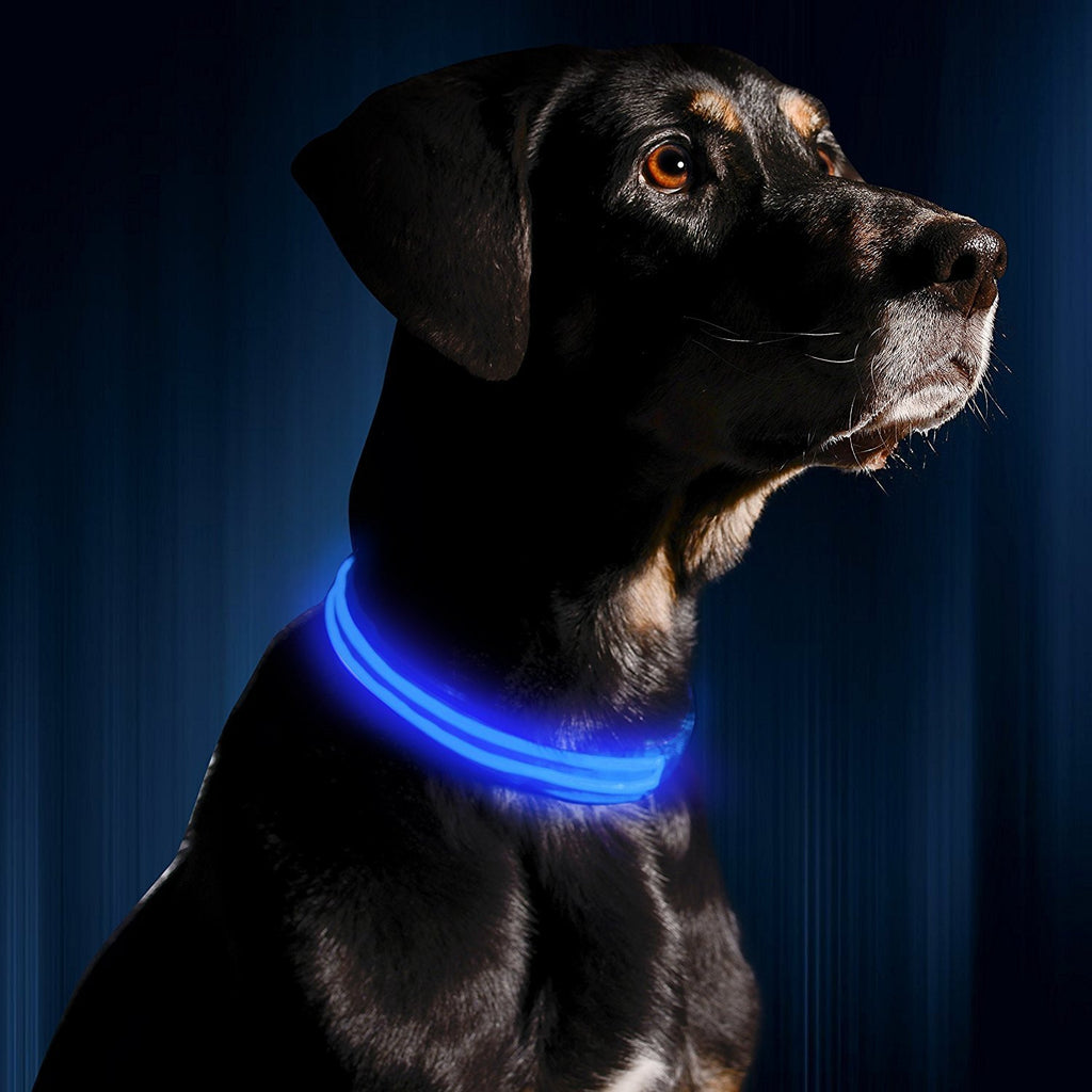 LED Dog Safety Collar