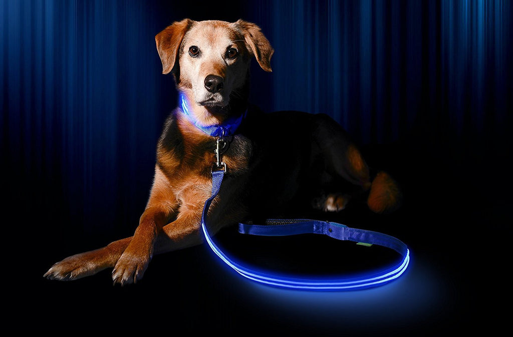 LED Dog Safety Leash