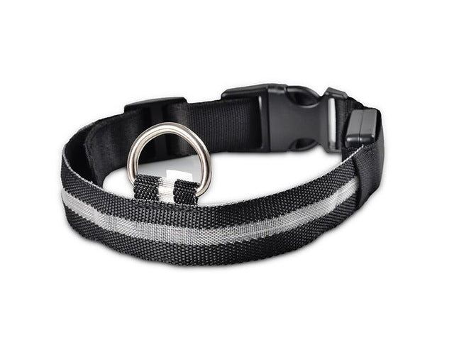 Nylon LED, Night Safety Flashing Glow In The Dark, Dog Collar