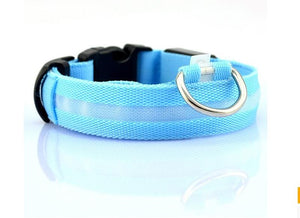 Nylon LED, Night Safety Flashing Glow In The Dark, Dog Collar