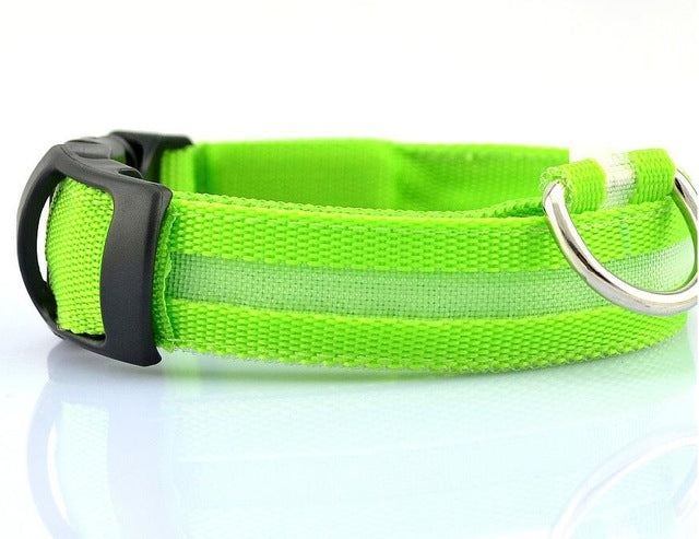 Nylon LED, Night Safety Flashing Glow In The Dark, Dog Collar