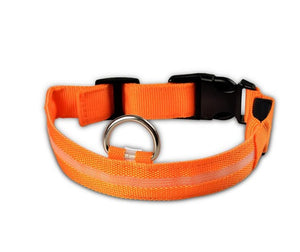 Nylon LED, Night Safety Flashing Glow In The Dark, Dog Collar