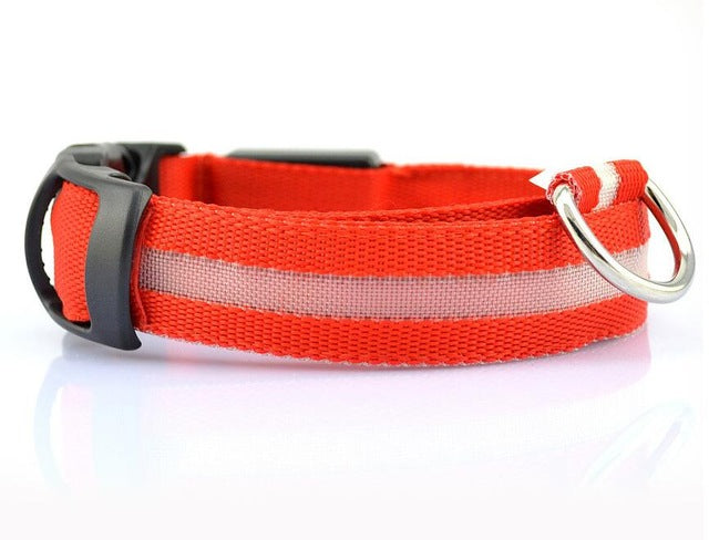 Nylon LED, Night Safety Flashing Glow In The Dark, Dog Collar