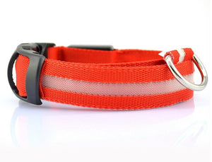 Nylon LED, Night Safety Flashing Glow In The Dark, Dog Collar