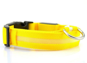 Nylon LED, Night Safety Flashing Glow In The Dark, Dog Collar