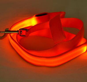 LED Dog Safety Leash