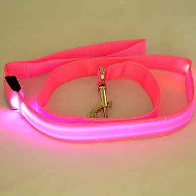 LED Dog Safety Leash