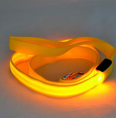 LED Dog Safety Leash