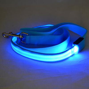 LED Dog Safety Leash