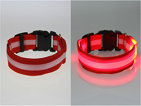 LED Dog Safety Collar