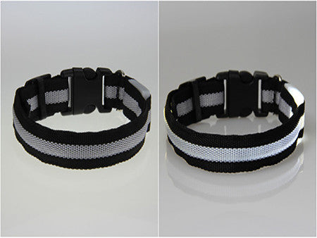 LED Dog Safety Collar