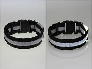LED Dog Safety Collar
