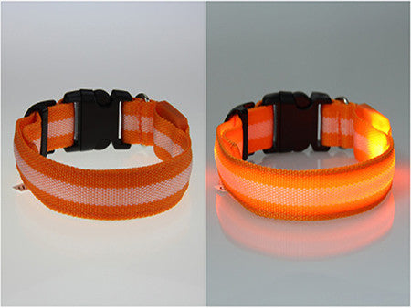 LED Dog Safety Collar