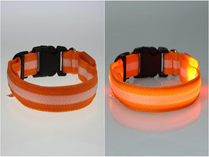 LED Dog Safety Collar