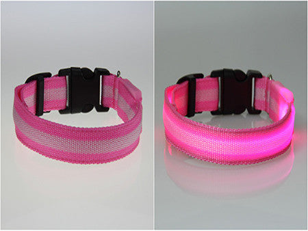 LED Dog Safety Collar