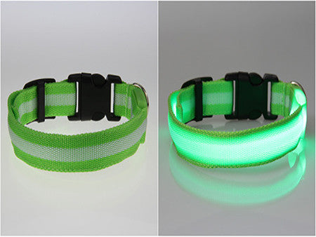 LED Dog Safety Collar