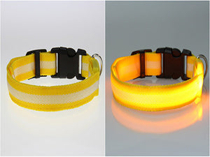 LED Dog Safety Collar