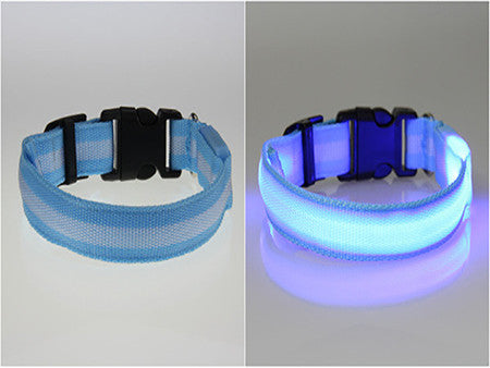 LED Dog Safety Collar
