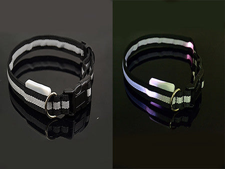 LED Dog Safety Collar