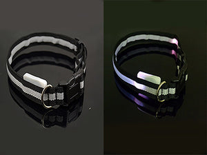 LED Dog Safety Collar