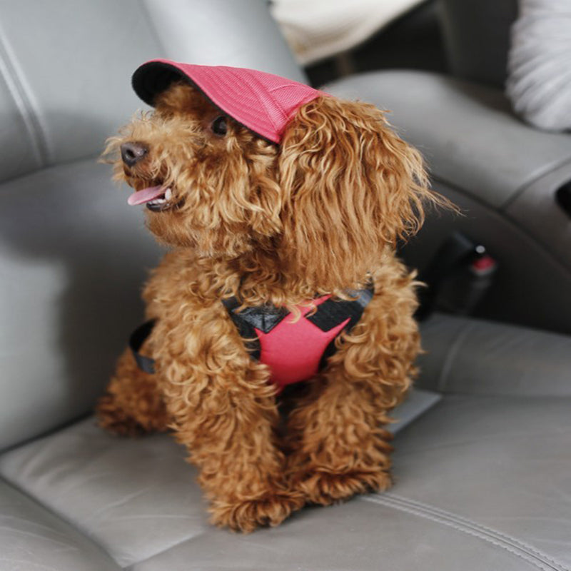 Casual Dog Sun Hat (LIMITED EDITION)