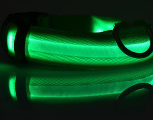 Nylon LED, Night Safety Flashing Glow In The Dark, Dog Collar
