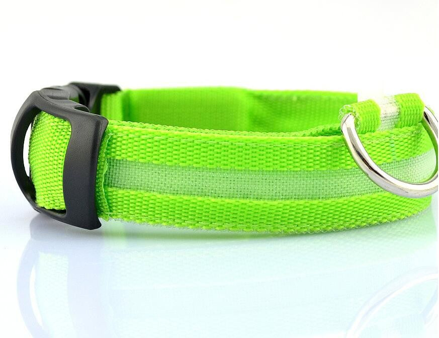 Nylon LED, Night Safety Flashing Glow In The Dark, Dog Collar