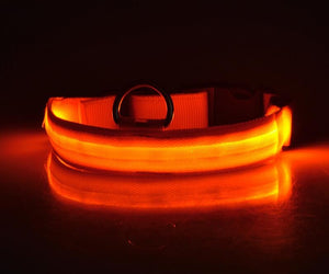 Nylon LED, Night Safety Flashing Glow In The Dark, Dog Collar