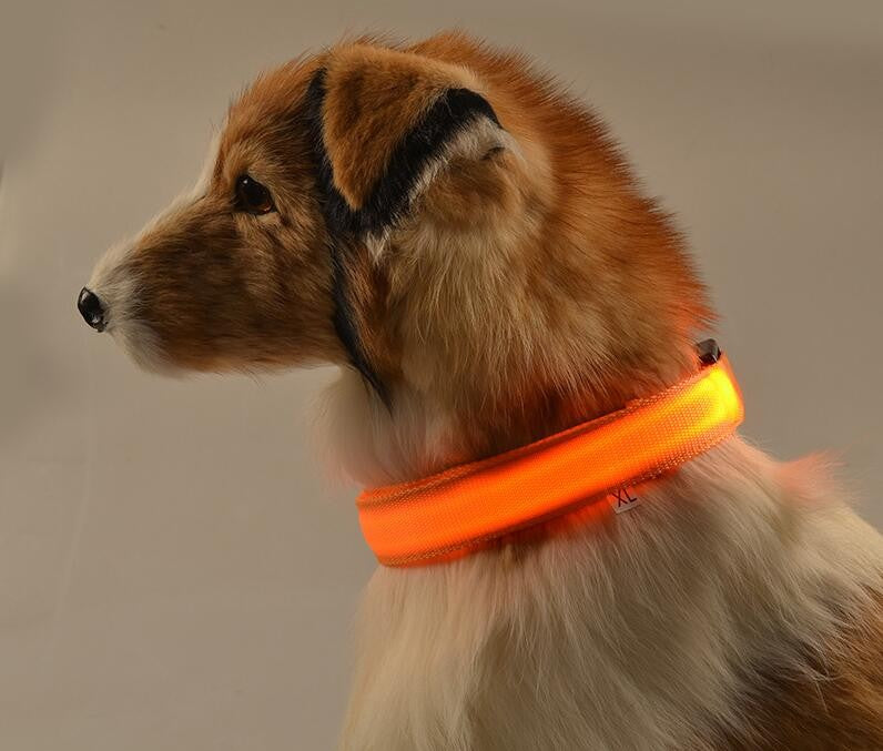 Nylon LED, Night Safety Flashing Glow In The Dark, Dog Collar