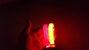 Nylon LED, Night Safety Flashing Glow In The Dark, Dog Collar