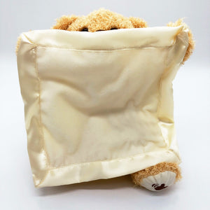 Peek a Boo Teddy Bear Play Hide and Seek