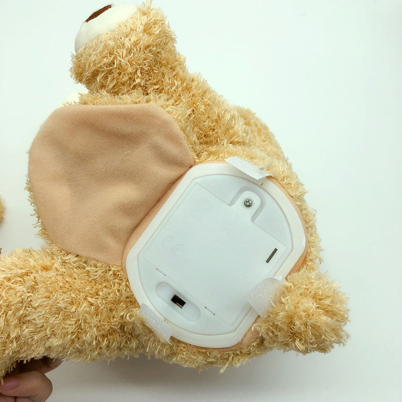 Peek a Boo Teddy Bear Play Hide and Seek