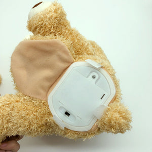 Peek a Boo Teddy Bear Play Hide and Seek